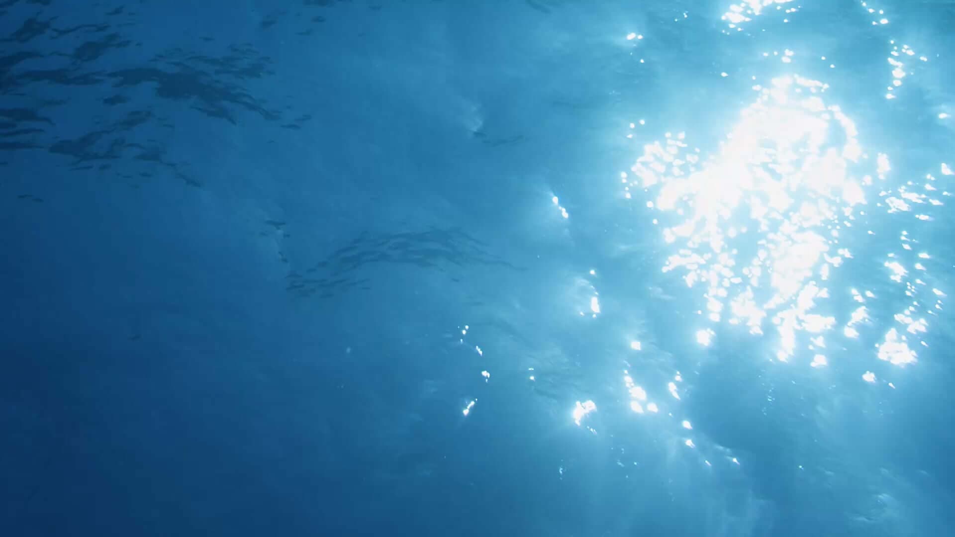 Marissa final call to action